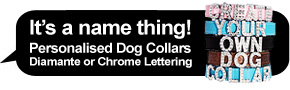 Personalized Dog Collars