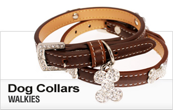Dog Collars