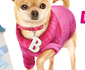Legally Blonde Dog Clothes