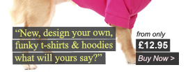 What Does Your T-Shirt Say?