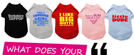 What Does Your T-Shirt Say?