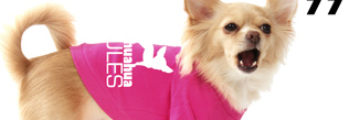 What Does Your T-Shirt Say?