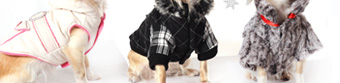 Warm Winter Coats