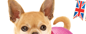 Legally Blonde The Musical - Bruiser's Dog Clothes