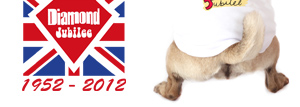 Diamond Jubilee Dog T-Shirts, Dog Harnesses, Dog Sweatshirts