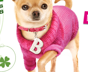 Legally Blonde Dog Clothes