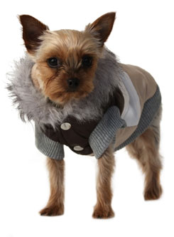 Dog Clothes