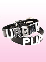 Black Leather Personalised Dog Collar (Chrome Letters) - Black Leather Personalised Dog Collar (Chrome Letters)