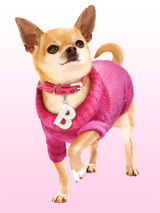 Bruiser's Outfit - Pink Sweater / Diamante Collar & Lead Set - The Pink Knitted Turtle Neck Sweater and Crocodile Pink Collar are both worn by Bruiser the Chihuahua in Legally Blonde The Musical, starring in London's West End. Give your pup star quality and save when you buy both together!  Bruiser's Pink Knitted Turtle Neck Sweater is made from a high quality...